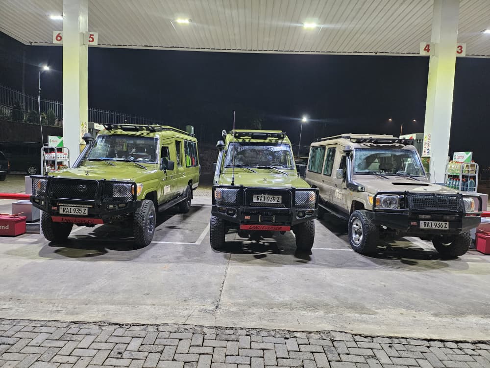 Land Cruiser fleet
