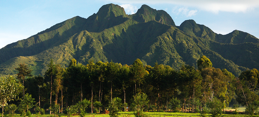 Virunga Mountain Range